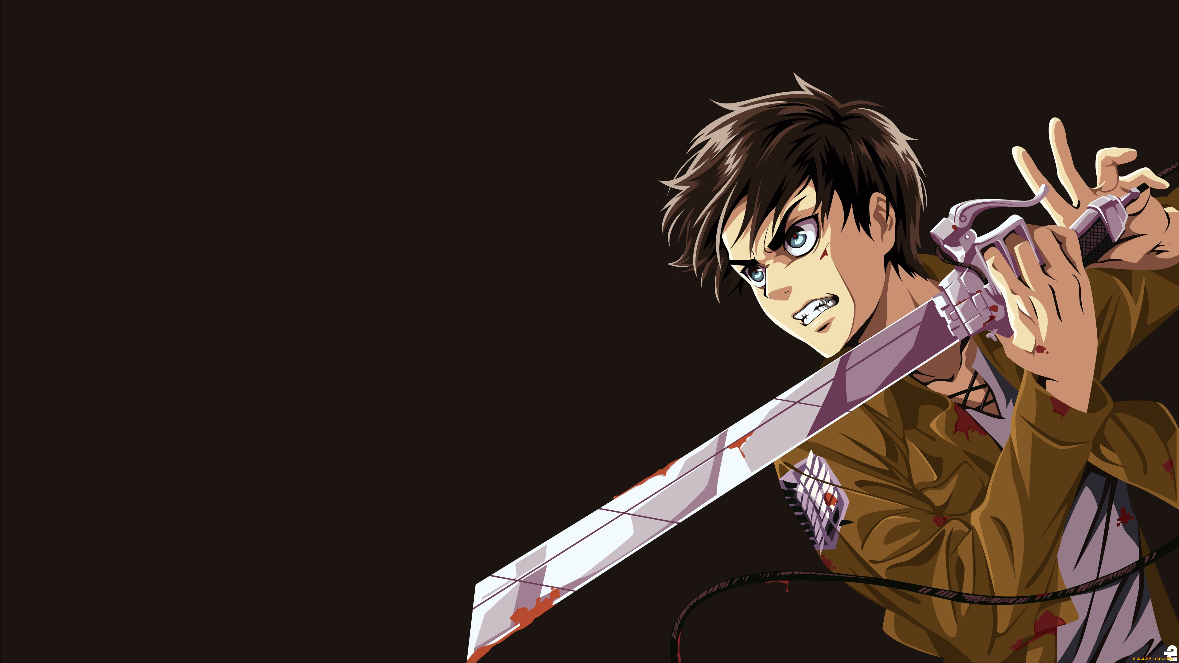 , shingeki no kyojin, ken, survivor, eren, sword, anime, attack, on, titan, shingeki, no, kyojin, manga, japansese, giant, blade